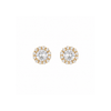 Caulfield Earrings