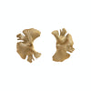 Ginkgo Earrings