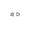 Twinkle Earrings
