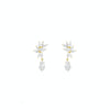 Twilight Drop Earrings